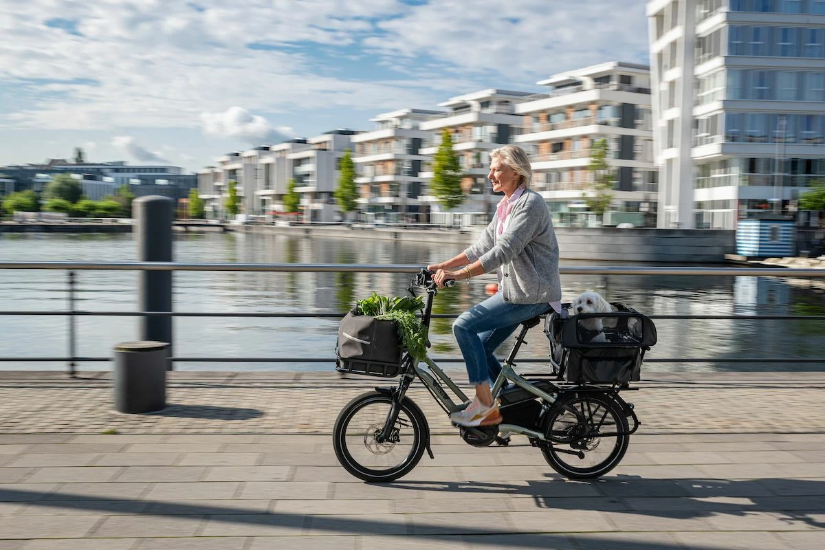 Tern - Dog Roof Mini - Abri Pour Chien 3 Tern - Dog Roof Mini - Abri Pour Chien